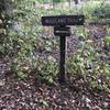 This sign is along an overgrown (possibly closed) section of the Pohick Overlook Trail. Go down the steep hill immediately after the sign to get to the good part of the trail.