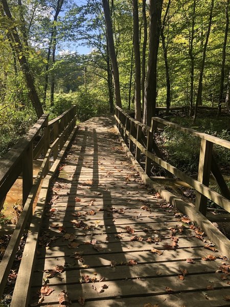 This bridge leads to a series of wavy boardwalks through the marsh, think small rollercoaster. I couldn't tell whether they were intentionally built that way or were lifted by flood waters.