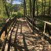 This bridge leads to a series of wavy boardwalks through the marsh, think small rollercoaster. I couldn't tell whether they were intentionally built that way or were lifted by flood waters.