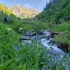 Garden Canyon at sunrise. Plan on climbing all the way up Garden Ridge? Your high point is in the background!