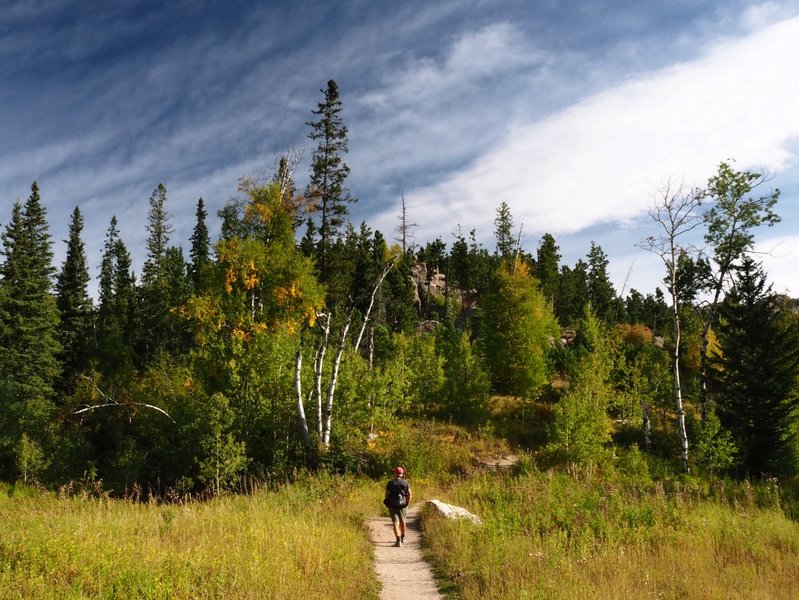 Along the Little Devils Tower Trail #4.