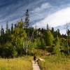 Along the Little Devils Tower Trail #4.