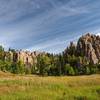 A meadow along the Little Devils Tower Trail #4.