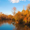 Skycrest suspension bridge, Neuse River Trail.