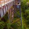 Foliage creeping up the bridge's trestles