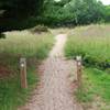 Begin of Dune Ridge Trail