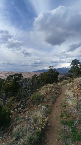 View of the dunes from the Wellington Ditch Trail