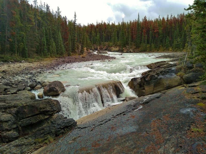 The Sunwapta Rivers begins its plunge down Lower Sunwapta Falls.