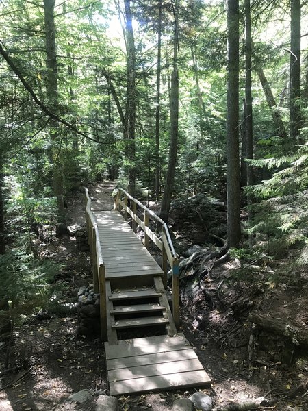 Small stream crossing