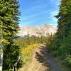 Parker Ridge Trail starts off in the thin fir forest with mountain views.