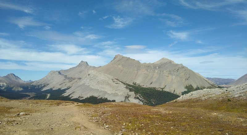 Nigel Peak, to the northwest, from Parker Ridge Trail.