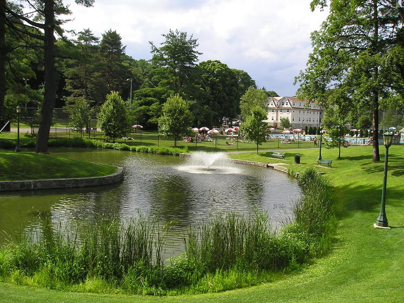 Law Park Pond in the summer