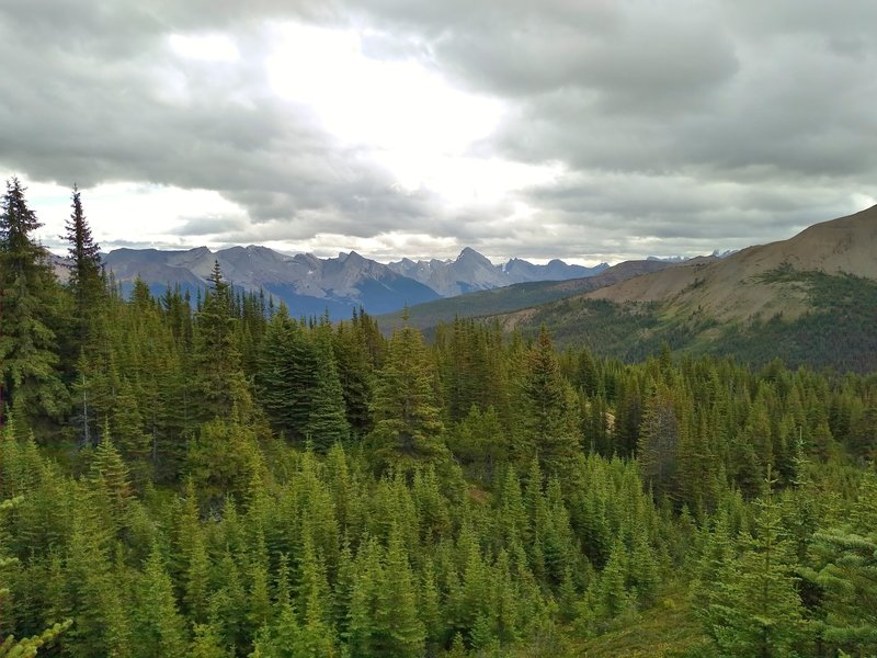 The Queen Elizabeth Ranges to the east-southeast, come into view as Skyline Trail climbs on its way north heading to Snowbowl trail camp.