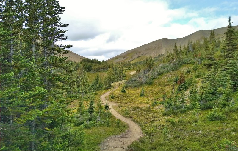 Little Shovel Pass (center left), approaching it from the south on Skyline Trail.