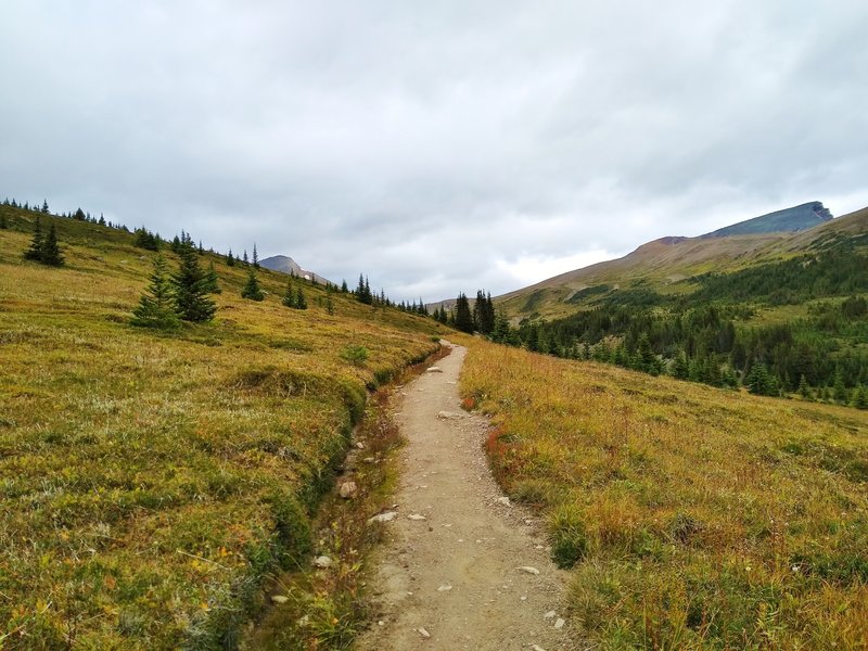 Almost at Big Shovel Pass, Curator Mountain's summit pokes up on the left (west), when approaching the pass from the south.