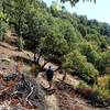 Starting a descent of the Rattlesnake Gulch Trail