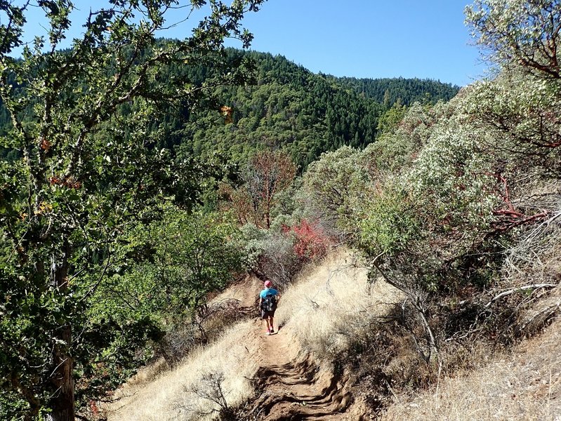 Along the Rattlesnake Gulch Trail