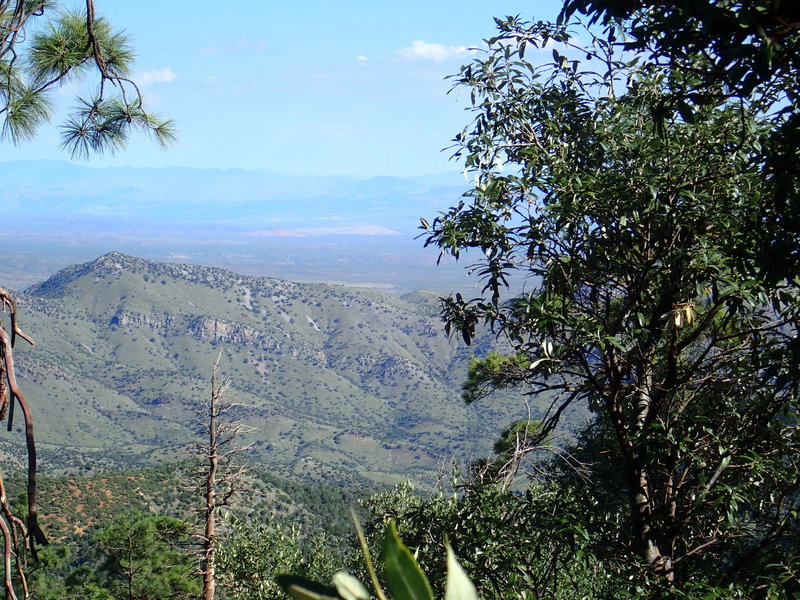 One of the many scenic views of the San Pedro River Valley from the Green Mountain portion of AZT Passage 11b