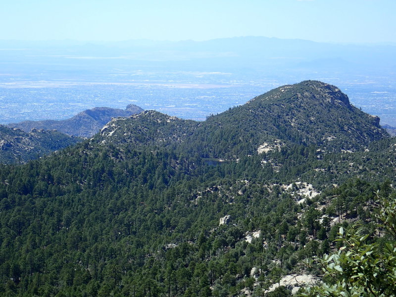 View of Rose Canyon Lake from the Incinerator Ridge trail just north of the Green Mountain trail junction on AZT Passage 11b