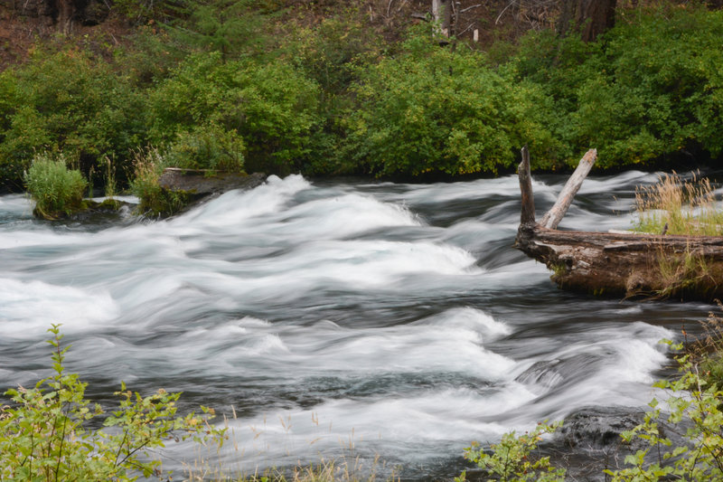 Rapids along the river