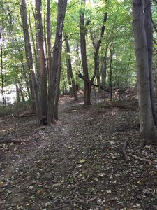 Typical terrain found in the first tenth of a mile ...