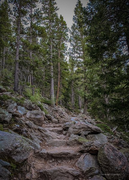 9700' elevation heading south on the trail to Twin Sisters. 07:30 am, September 1, 2019. This shows the typical trail terrain that you may expect the rest of the day.