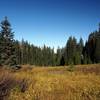 The first meadow in from the eastern trailhead