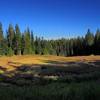 Another large meadow along the trail