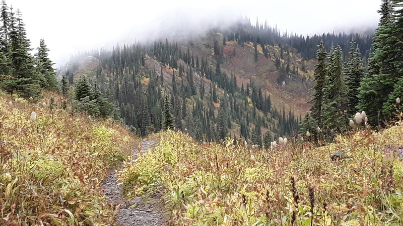 Fall colors on a misty day