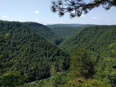 Hiking Trails near Colton Point State Park