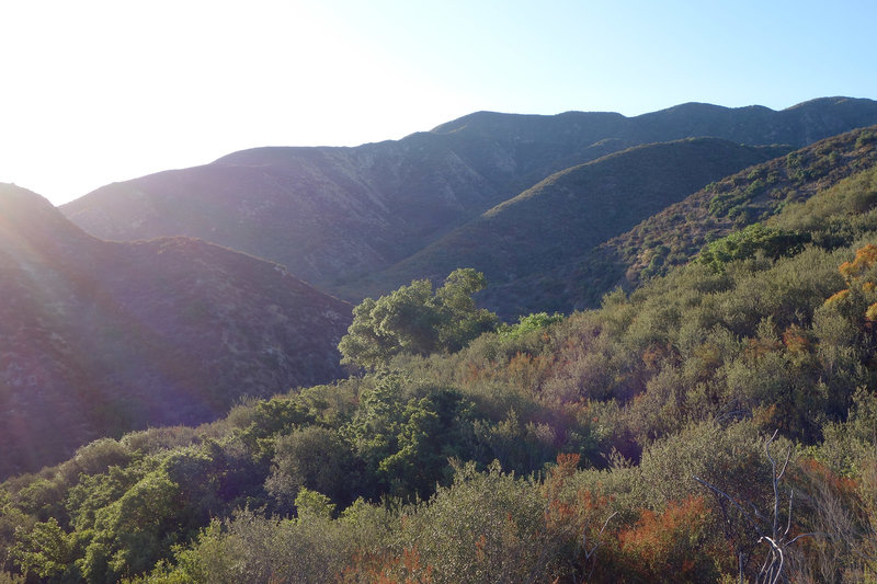 Early light on the Wild Horse Trail