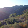 Early light on the Wild Horse Trail