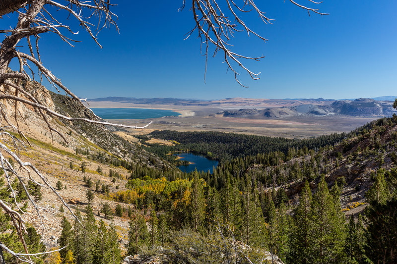 Walker Lake and Mono Lake