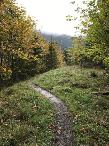 Break in the trees on Greywolf Trail