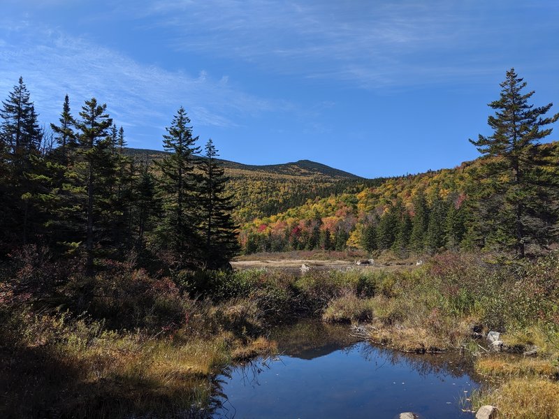 Clouds burned off during our hike and we were treated to a nice view on the way back.