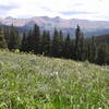 wide open view, great summer wildflowers, easy meadow stroll