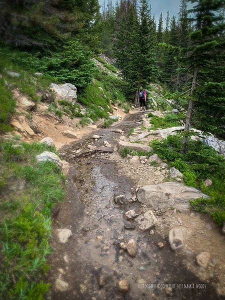 The trail down from Loch Lake.