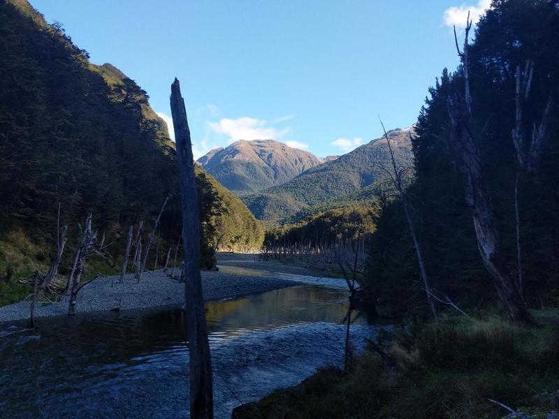 Looking down the Greenstone River