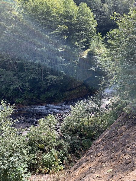 The view of the Muddy River off of the side of the Lava Canyon Trail.