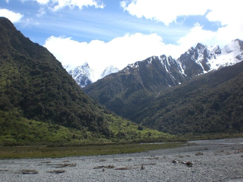 The Copland River and Mount Cook