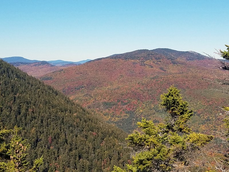 Foliage view from South Double Head 10/5/2019