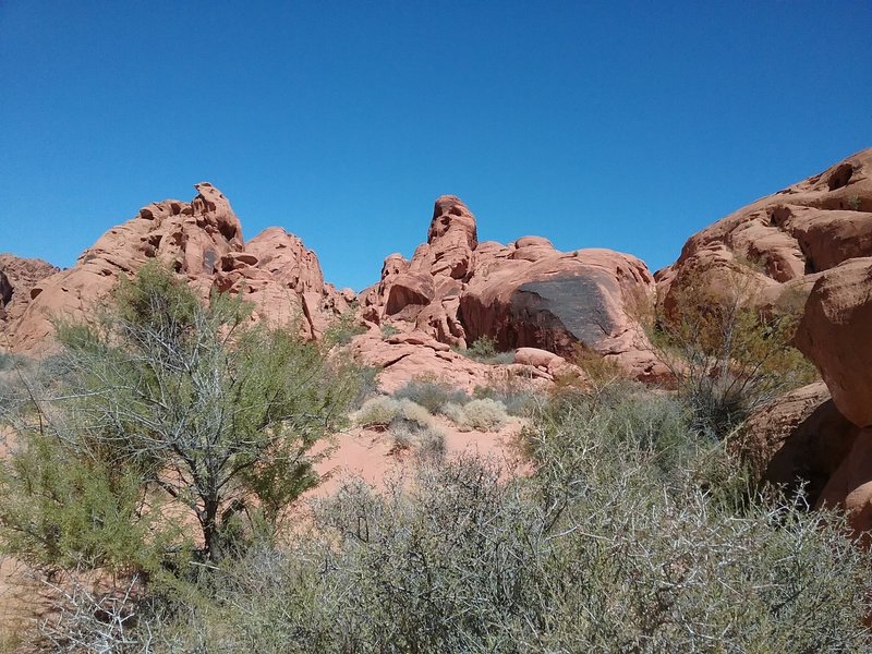 Looking east from the trail