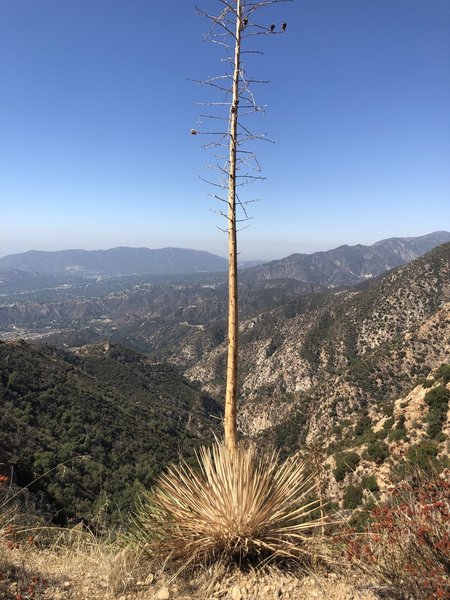 The highest point on this trail