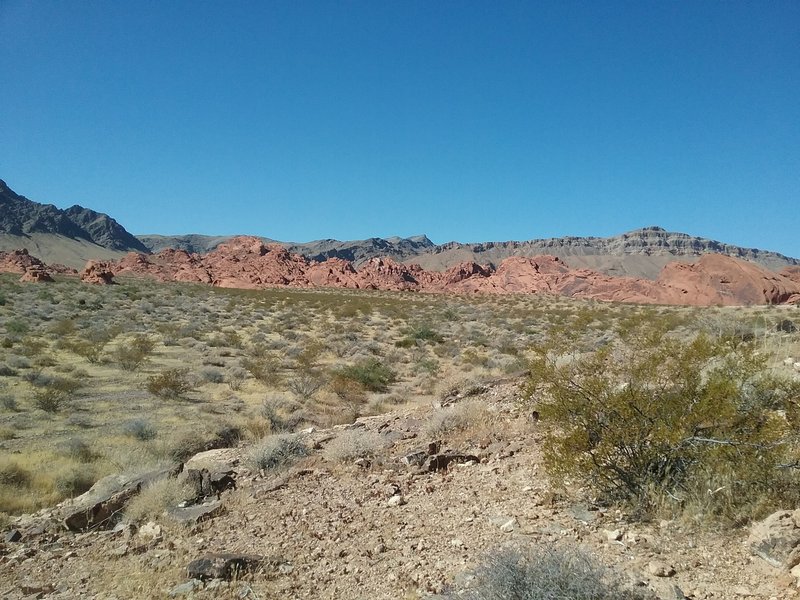 View from the trail