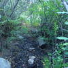 Mud Springs along the Palisades #99 trail