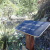 The East Fork trail junction at the terminus of Palisades #99 trail.