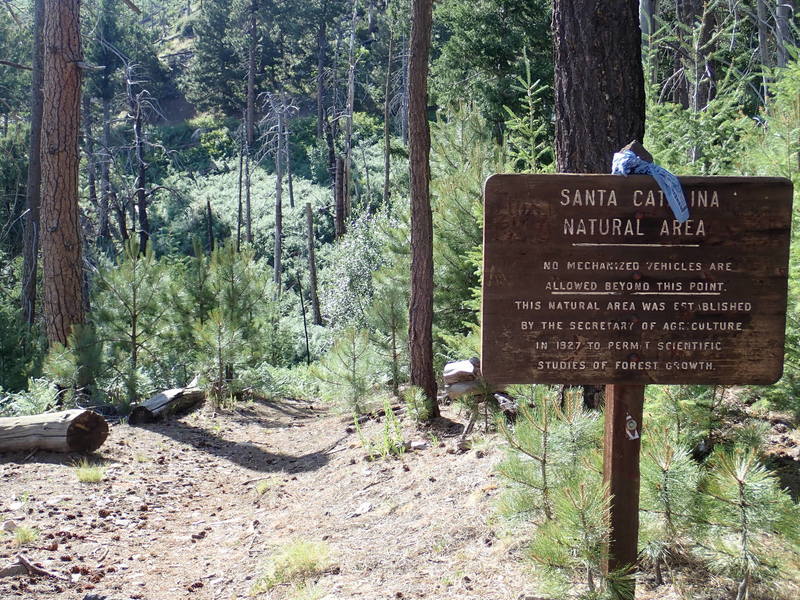 The Lemmon Rock #12 trailhead near the Fire lookout.