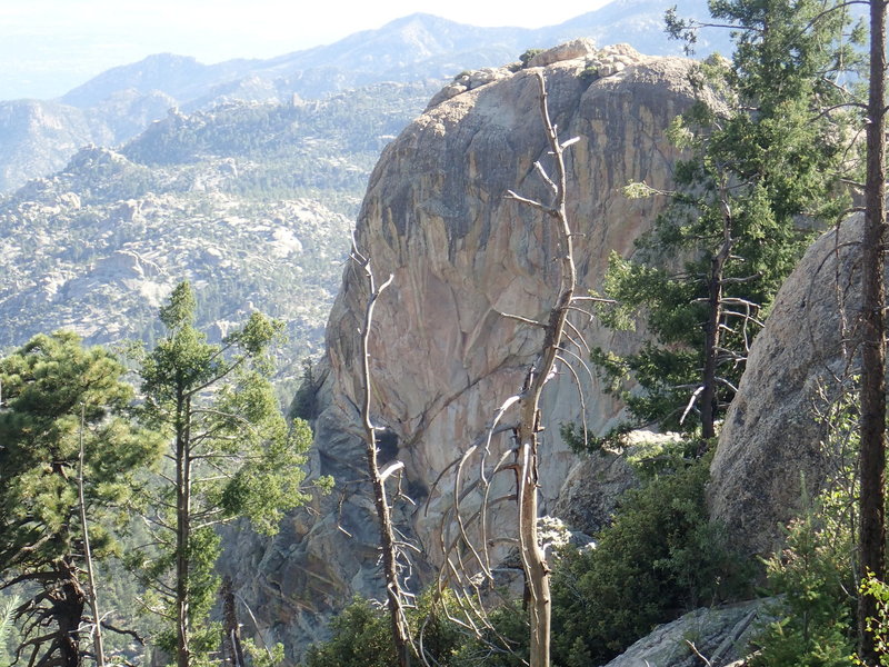 The view from near the top of the Lemmon Rock #12 trail