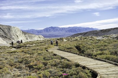 Death Valley Salt Creek