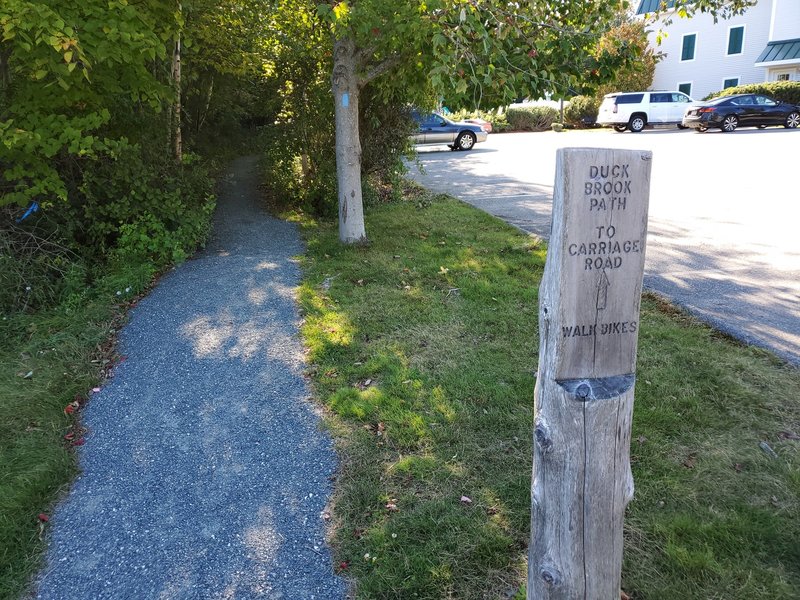 A step off RT 3, hard-packed gravel path marked with blue blazes